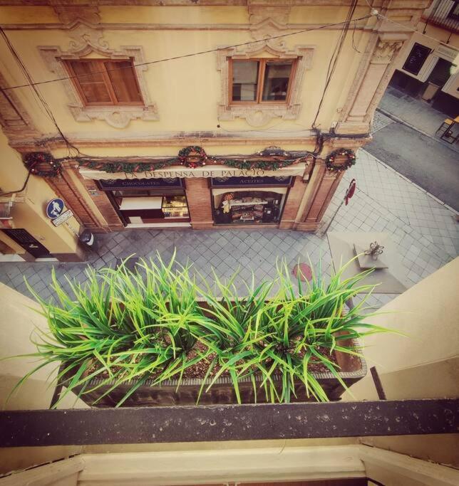 Estudio Centro De Sevilla 외부 사진